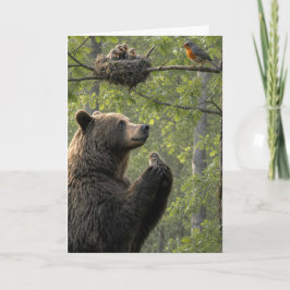誕生日のクマがヒナを救出 カード