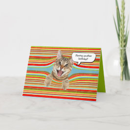 誕生日のストライプ猫 カード