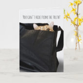 誕生日のタビー猫が黒い袋に入っている カード (黄色い花)