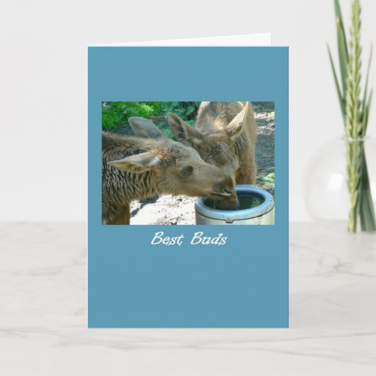 誕生日のベストはBFF 2のオオシカの子牛の友人カードを発芽させます カード (正面)
