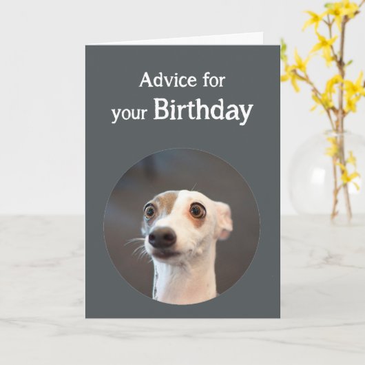 誕生日のユーモアのかわいい犬たくさんのコーヒーユーモア カード (黄色い花)