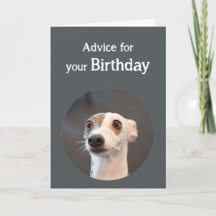 誕生日のユーモアのかわいい犬たくさんのコーヒーユーモア カード