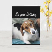 誕生日のユーモアは食べあのケーキ可愛い犬 カード (黄色い花)
