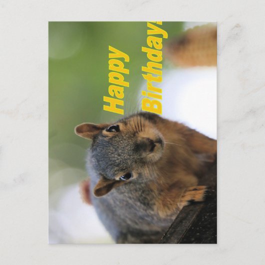 誕生日のリス ポストカード (正面)