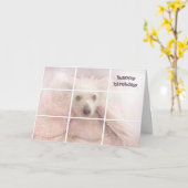 誕生日の中国のひげ毛のない犬 カード (黄色い花)