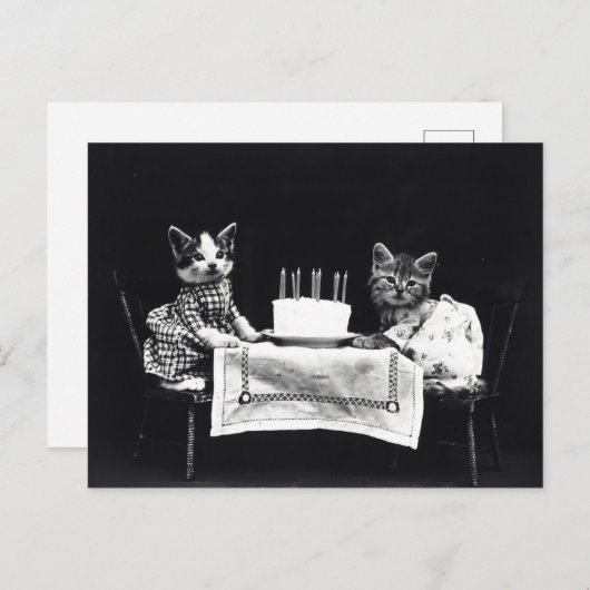 誕生日の子猫たち ポストカード (正面/裏面)