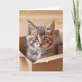 誕生日の子猫を段ボールに入れて カード (正面)