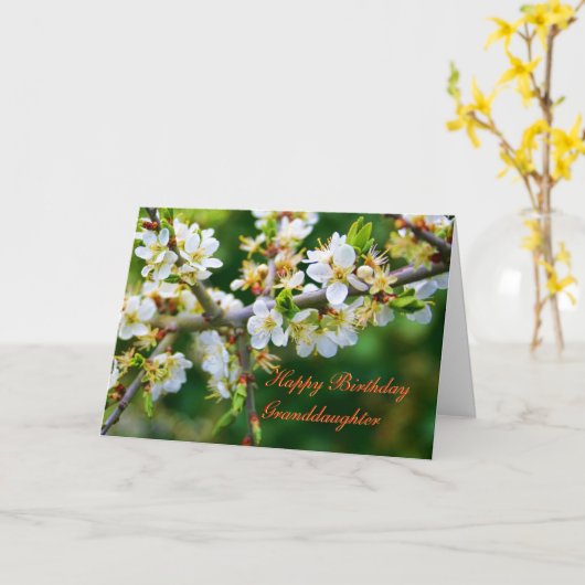 誕生日の孫娘によって太陽まだらにされる春のホーソーン カード (黄色い花)