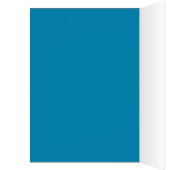 誕生日の宝冠を飾ったラグドール猫 (内側 (左))