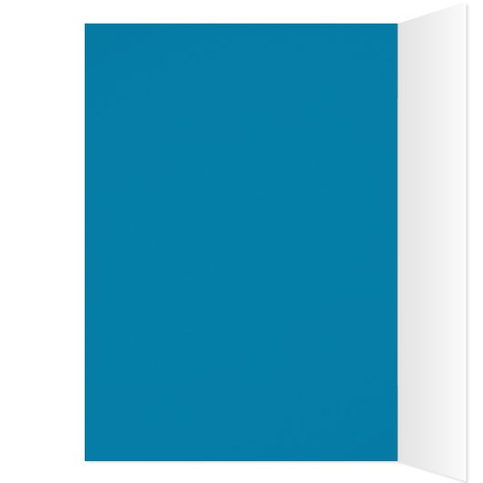 誕生日の宝冠を飾ったラグドール猫 (内側 (左))