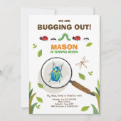 誕生日の招待状の昆虫を煩わせることは男の子を煩わせます 招待状 (正面)
