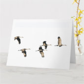 誕生日の挨拶状を飛ばしているSandhillクレーン鳥 カード (黄色い花)