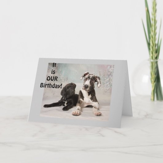 誕生日の日だ素晴らし! カード (正面)