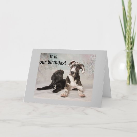 誕生日の日だ素晴らし! カード (正面)