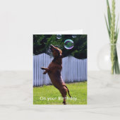 誕生日の泡 カード (正面)