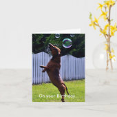 誕生日の泡 カード (黄色い花)