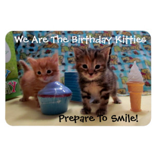 誕生日の猫ちゃん4 x 6適用範囲が広い写真の磁石 マグネット
