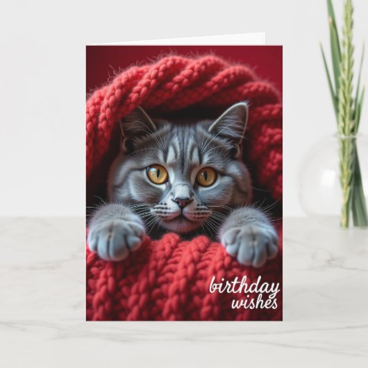 誕生日の猫のカード カード (正面)