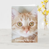 誕生日の猫のユーモア カード (黄色い花)