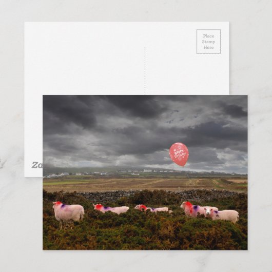 誕生日の羊 ポストカード (正面/裏面)