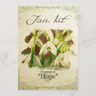 誕生日の花1月1日"Snowdrop" カード