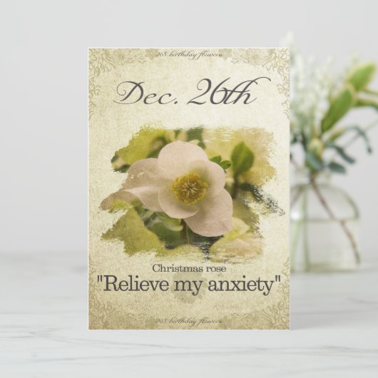 誕生日の花12月26日"クリスマスバラ" シーズンカード (スタンド正面)