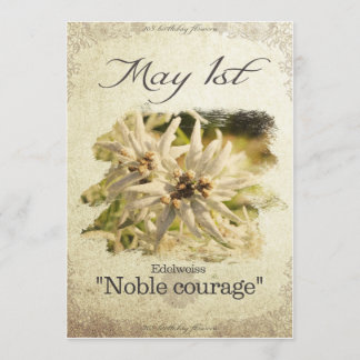 誕生日の花5月1日"Edelweiss" カード