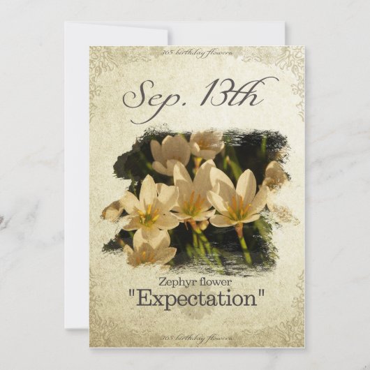 誕生日の花9月13日"ゼファー花" カード (正面)