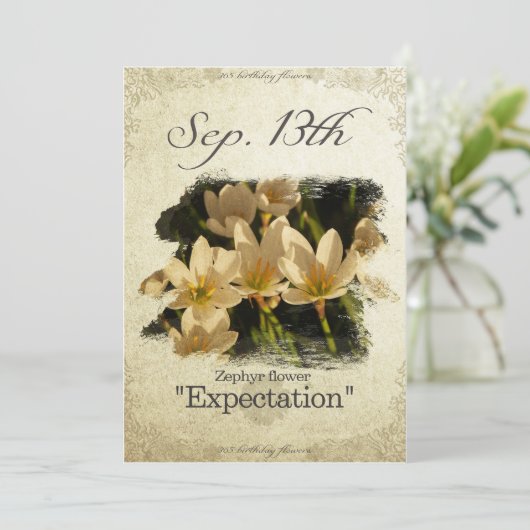誕生日の花9月13日"ゼファー花" カード (スタンド正面)