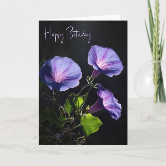 誕生日の輝く朝顔の花 カード (正面)