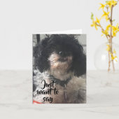 誕生日の願いはUが骨/ステーキを得ることである カード (黄色い花)