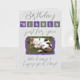 誕生日の願い猫フォトグレーパープルを追加 カード