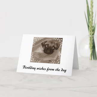 誕生日の願い カード