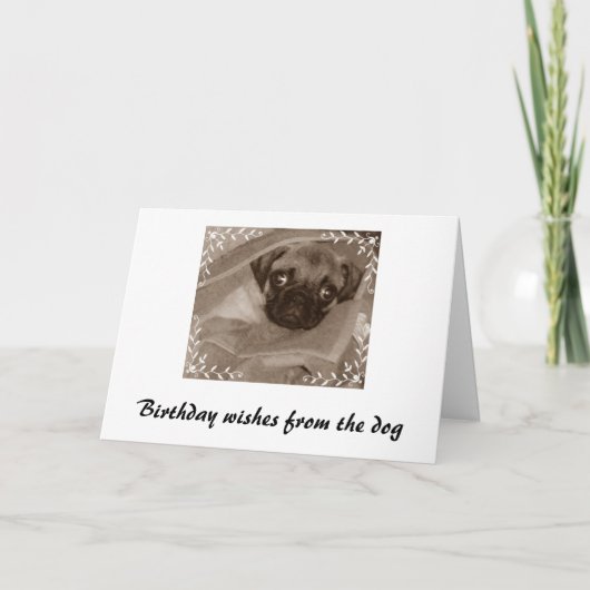 誕生日の願い カード (正面)