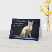 誕生日の願い,豪華な猫が青い椅子に座って カード (黄色い花)