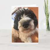 誕生日はあらゆる面で「友最高の人」を望んでいる カード (正面)