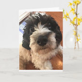 誕生日はあらゆる面で「友最高の人」を望んでいる カード (黄色い花)