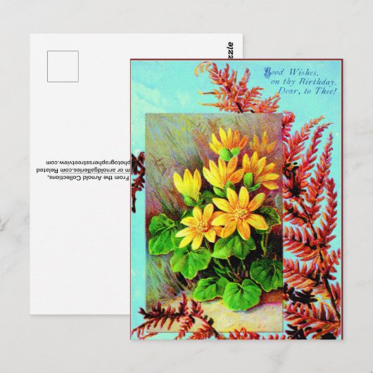 誕生日はがき! ポストカード (正面/裏面)