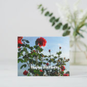 誕生日はがき ポストカード (スタンド正面)