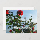 誕生日はがき ポストカード (正面/裏面)