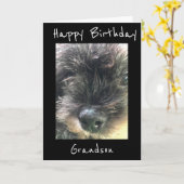 誕生日は孫に**願** カード (黄色い花)