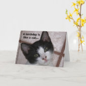 誕生日は猫のような… カード (黄色い花)