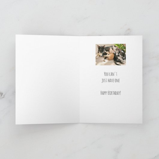 誕生日は猫の動物のユーモアのようなものだ カード (内部)