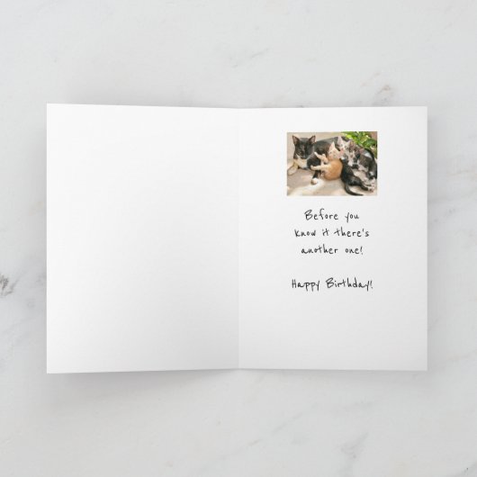 誕生日は猫動物のユーモアのようなもの カード (内部)