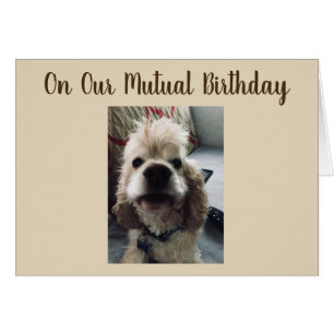 誕生日は私たちの相互の誕生日