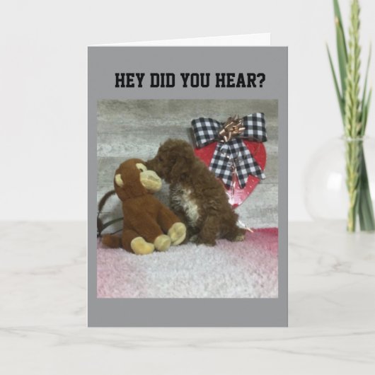 誕生日は誰か特別な人を願う！ カード (正面)