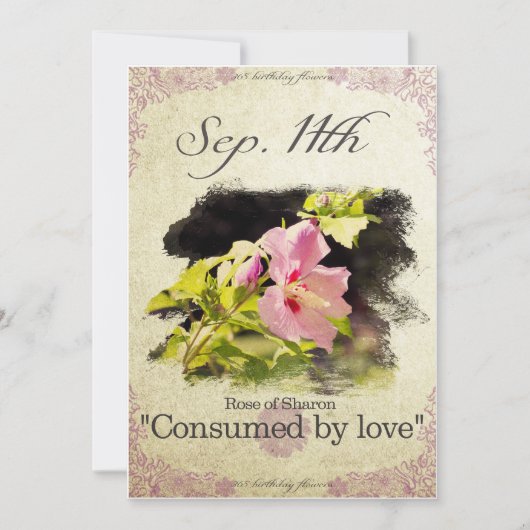 誕生日は9月11日のに"ムクゲ開花します カード (正面)