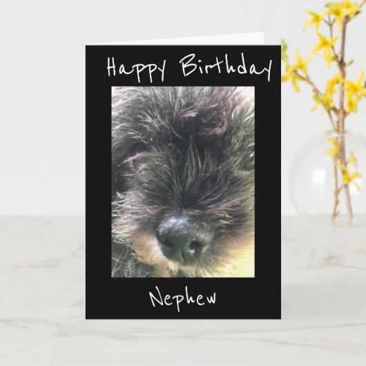 誕生日は**甥** カード (黄色い花)