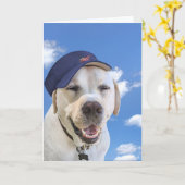 誕生日を迎えた帽子をかぶった犬 カード (黄色い花)