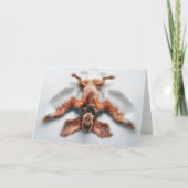 誕生日アイリッシュセッタースノーエンジェル カード (正面)